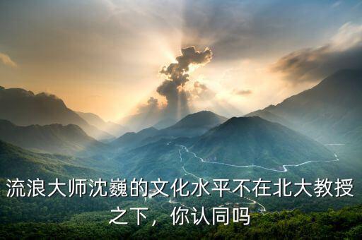 流浪大師沈巍的文化水平不在北大教授之下，你認同嗎