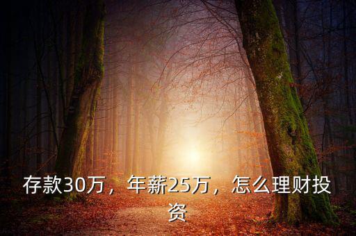 存款30萬(wàn)，年薪25萬(wàn)，怎么理財(cái)投資