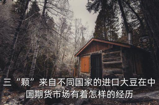 三“顆”來(lái)自不同國(guó)家的進(jìn)口大豆在中國(guó)期貨市場(chǎng)有著怎樣的經(jīng)歷