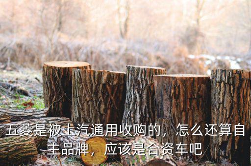五菱是被上汽通用收購的，怎么還算自主品牌，應(yīng)該是合資車吧