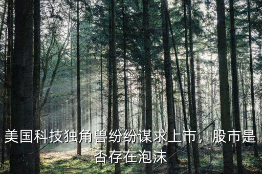 美國科技獨(dú)角獸紛紛謀求上市，股市是否存在泡沫