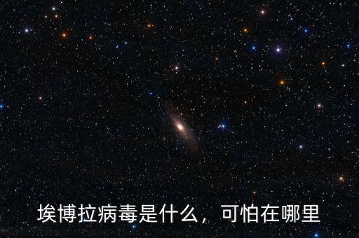 埃博拉病毒是什么，可怕在哪里