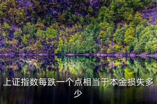上證指數(shù)每跌一個點(diǎn)相當(dāng)于本金損失多少