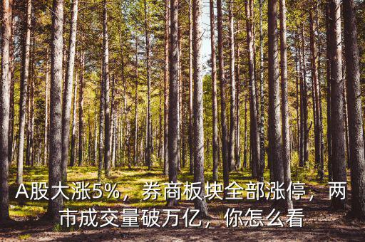 A股大漲5%，券商板塊全部漲停，兩市成交量破萬億，你怎么看