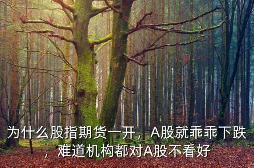 為什么股指期貨一開，A股就乖乖下跌，難道機(jī)構(gòu)都對(duì)A股不看好