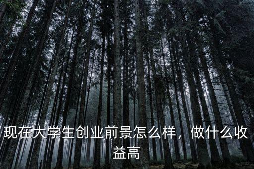 現(xiàn)在大學生創(chuàng)業(yè)前景怎么樣，做什么收益高