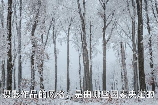 攝影作品的風(fēng)格，是由哪些因素決定的