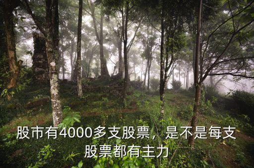 股市有4000多支股票，是不是每支股票都有主力