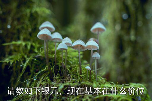 請(qǐng)教如下銀元，現(xiàn)在基本在什么價(jià)位