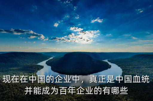 現(xiàn)在在中國的企業(yè)中，真正是中國血統(tǒng)并能成為百年企業(yè)的有哪些
