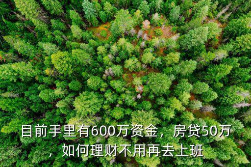 目前手里有600萬資金，房貸50萬，如何理財不用再去上班