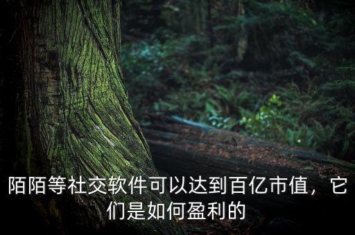陌陌等社交軟件可以達到百億市值，它們是如何盈利的