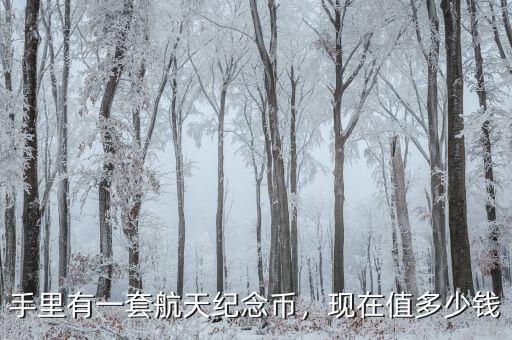 手里有一套航天紀(jì)念幣，現(xiàn)在值多少錢