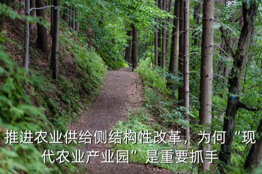 推進(jìn)農(nóng)業(yè)供給側(cè)結(jié)構(gòu)性改革，為何“現(xiàn)代農(nóng)業(yè)產(chǎn)業(yè)園”是重要抓手