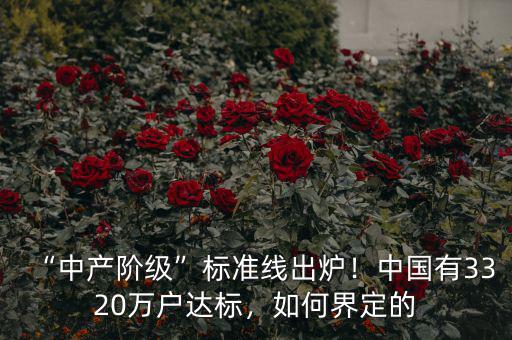 “中產(chǎn)階級(jí)”標(biāo)準(zhǔn)線出爐！中國(guó)有3320萬(wàn)戶達(dá)標(biāo)，如何界定的