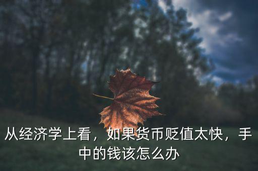 從經(jīng)濟(jì)學(xué)上看，如果貨幣貶值太快，手中的錢該怎么辦