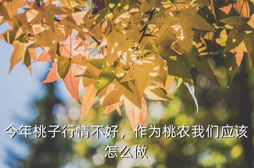 今年桃子行情不好，作為桃農(nóng)我們應(yīng)該怎么做