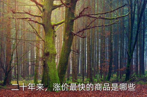 二十年來(lái)，漲價(jià)最快的商品是哪些