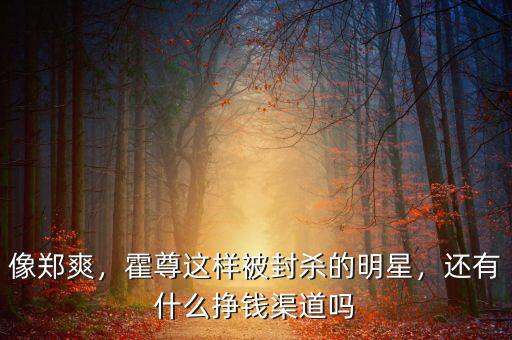 像鄭爽，霍尊這樣被封殺的明星，還有什么掙錢渠道嗎