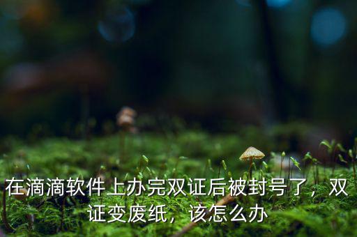 在滴滴軟件上辦完雙證后被封號了，雙證變廢紙，該怎么辦