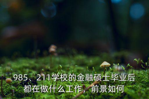 985、211學(xué)校的金融碩士畢業(yè)后都在做什么工作，前景如何