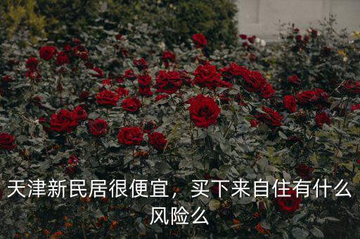 天津新民居很便宜，買下來(lái)自住有什么風(fēng)險(xiǎn)么