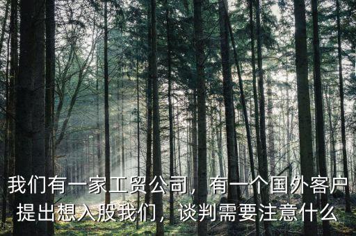 我們有一家工貿公司，有一個國外客戶提出想入股我們，談判需要注意什么