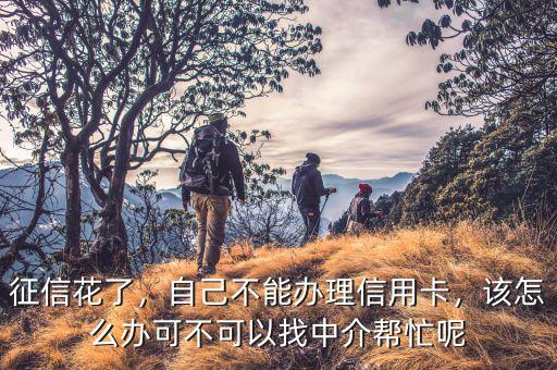 征信花了，自己不能辦理信用卡，該怎么辦可不可以找中介幫忙呢