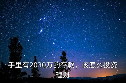 手里有2030萬的存款，該怎么投資理財