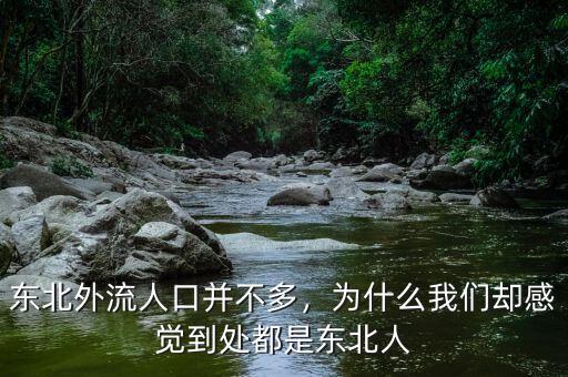 東北外流人口并不多，為什么我們卻感覺(jué)到處都是東北人