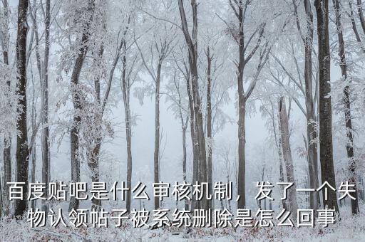 百度貼吧是什么審核機(jī)制，發(fā)了一個失物認(rèn)領(lǐng)帖子被系統(tǒng)刪除是怎么回事