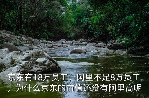 京東有18萬(wàn)員工，阿里不足8萬(wàn)員工，為什么京東的市值還沒(méi)有阿里高呢