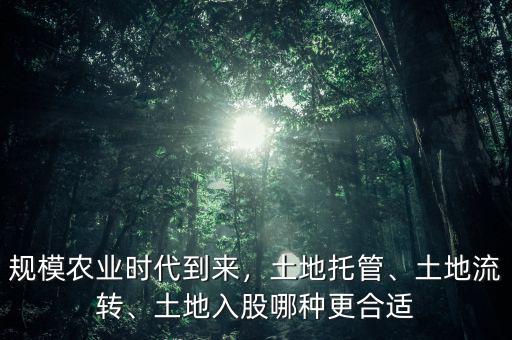 規(guī)模農業(yè)時代到來，土地托管、土地流轉、土地入股哪種更合適