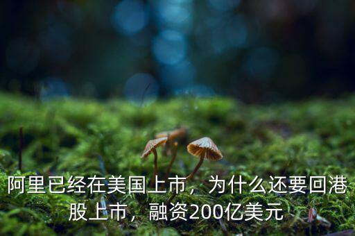 阿里已經在美國上市，為什么還要回港股上市，融資200億美元