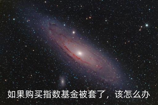 如果購(gòu)買指數(shù)基金被套了，該怎么辦