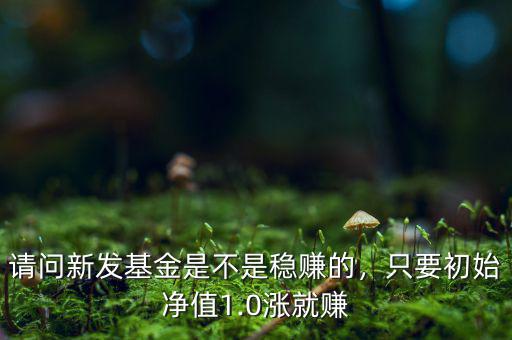 請(qǐng)問(wèn)新發(fā)基金是不是穩(wěn)賺的，只要初始凈值1.0漲就賺
