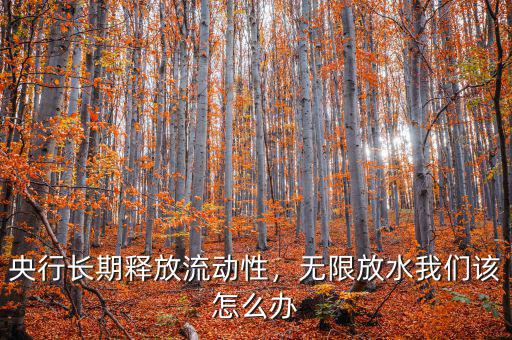 央行長期釋放流動(dòng)性，無限放水我們該怎么辦