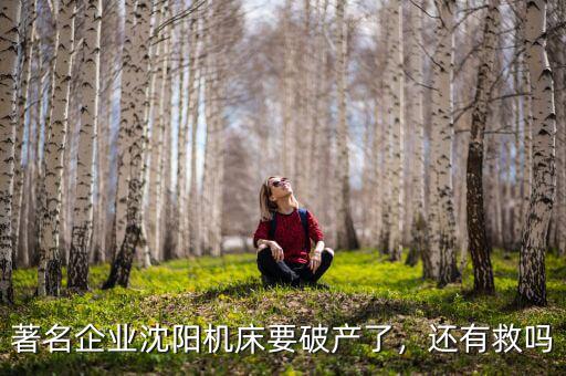 著名企業(yè)沈陽(yáng)機(jī)床要破產(chǎn)了，還有救嗎