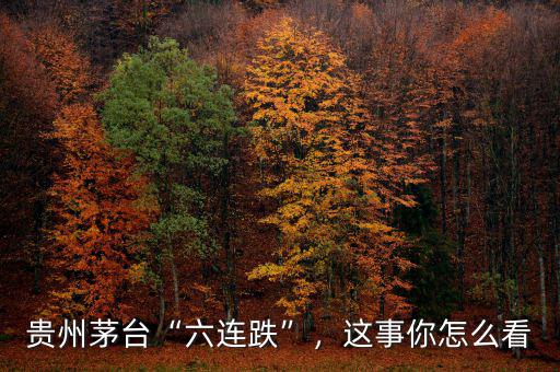 貴州茅臺(tái)“六連跌”，這事你怎么看
