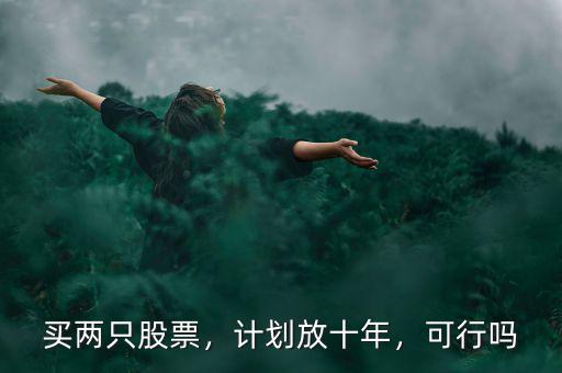 買兩只股票，計劃放十年，可行嗎