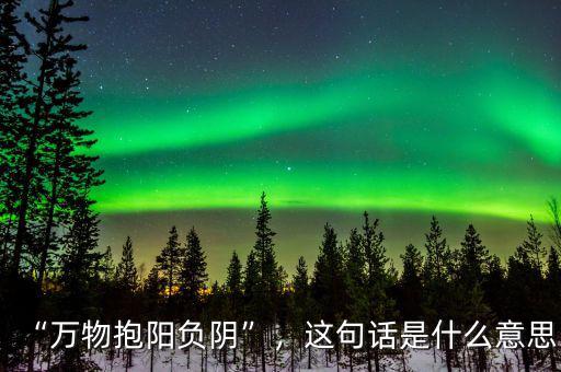 “萬物抱陽負(fù)陰”，這句話是什么意思