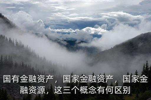 國有金融資產(chǎn)，國家金融資產(chǎn)，國家金融資源，這三個概念有何區(qū)別