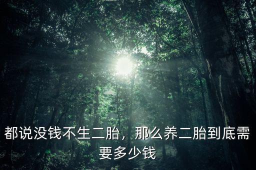 都說沒錢不生二胎，那么養(yǎng)二胎到底需要多少錢