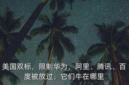 美國雙標(biāo)，限制華為，阿里、騰訊、百度被放過，它們牛在哪里