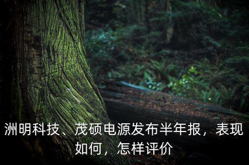 洲明科技、茂碩電源發(fā)布半年報(bào)，表現(xiàn)如何，怎樣評(píng)價(jià)