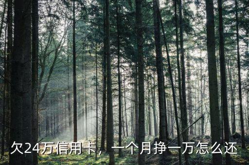 欠24萬信用卡，一個月掙一萬怎么還