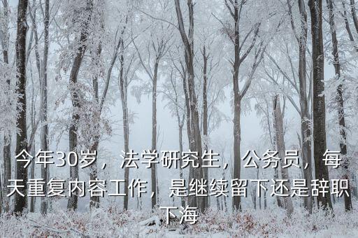 今年30歲，法學(xué)研究生，公務(wù)員，每天重復(fù)內(nèi)容工作，是繼續(xù)留下還是辭職下海