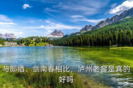 與郎酒、劍南春相比，瀘州老窖是真的好嗎