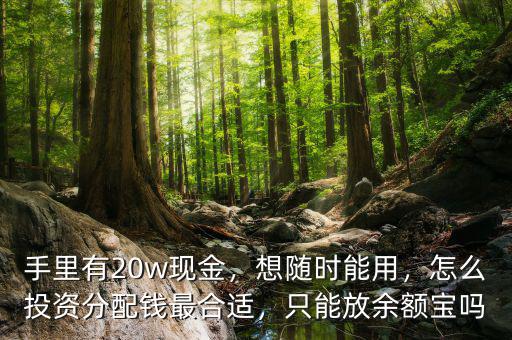 手里有20w現(xiàn)金，想隨時(shí)能用，怎么投資分配錢(qián)最合適，只能放余額寶嗎