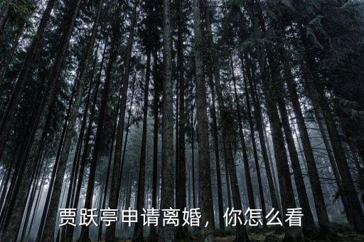 賈躍亭申請離婚，你怎么看